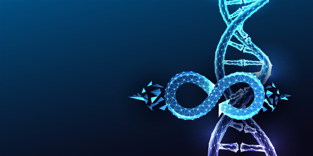 Longevity: il capitale che scommette sul tempo biologico 1