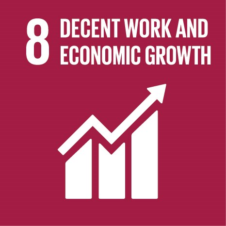 Decent work and economic growth 1