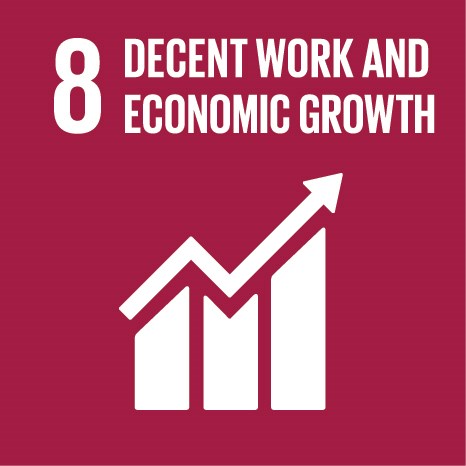 Decent Work and Economic Growth 1