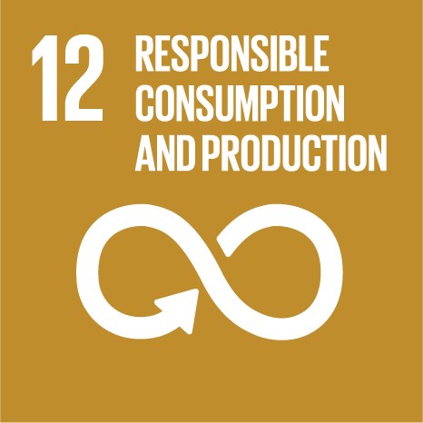 Responsible consumption and production 1